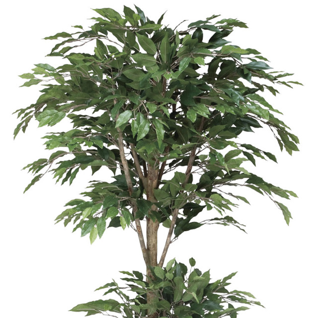 光触媒 光の楽園 トロピカルベンジャミン 1.8m【インテリア フェイク