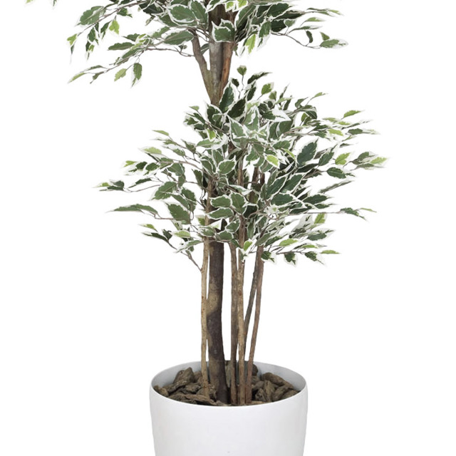 光触媒 人工観葉植物 フェイクグリーン　ベンジャミントピアリー1.2 光触媒 光の楽園ベンジャミントピアリー 高さ 1.5m【インテリア