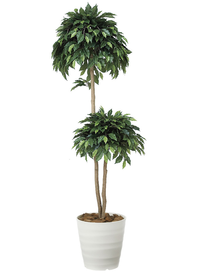 光触媒 光の楽園 ベンジャミンダブル 1.6m【インテリア フェイクグリーン 人工観葉植物】(168R300)（※ラッピング不可）