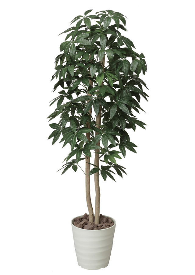 光触媒 光の楽園 パキラツリー 1.6m【インテリア フェイクグリーン 人工観葉植物】(170P320)（※ラッピング不可）