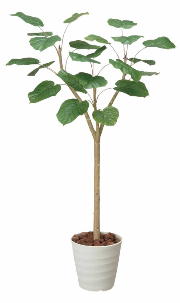 光触媒 観葉植物 人工観葉植物 の販売 光の楽園