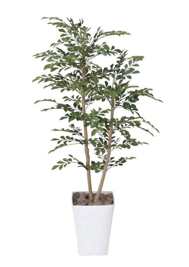 光触媒 光の楽園 トネリコ 1.2m【インテリア フェイクグリーン 人工観葉植物】(184P240)（※ラッピング不可）
