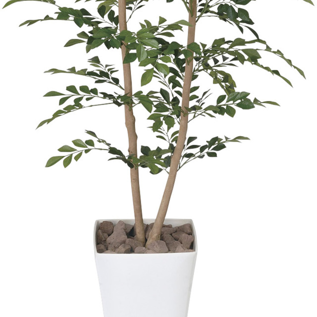 光触媒 光の楽園 トネリコ 1.2m【インテリア フェイクグリーン 人工