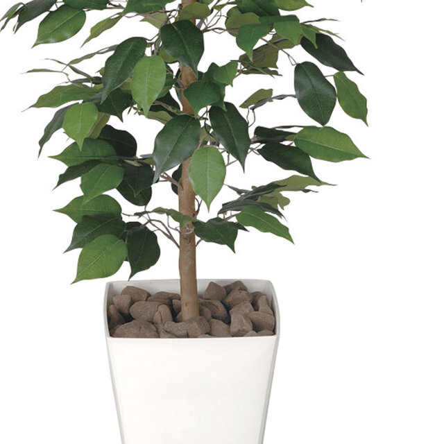 光触媒 光の楽園 フィカスベンジャミン 1.2m【インテリア フェイク