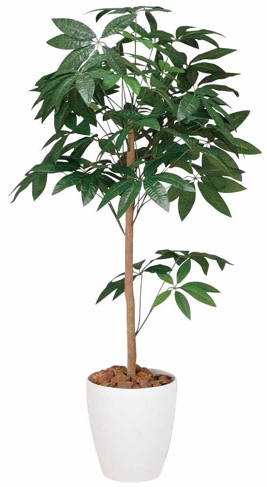光触媒 光の楽園 パキラトピアリー 1.5m【インテリア フェイクグリーン 人工観葉植物】(194P270)（※ラッピング不可）