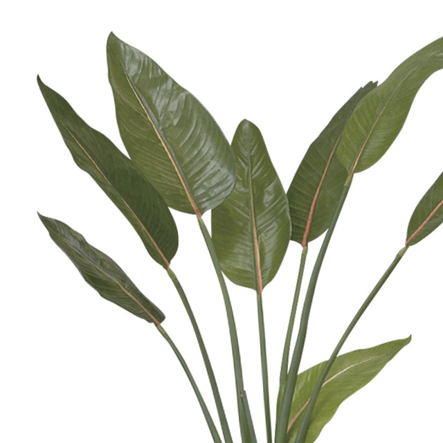 光触媒 光の楽園 ストレチア 1.1m【インテリア フェイクグリーン