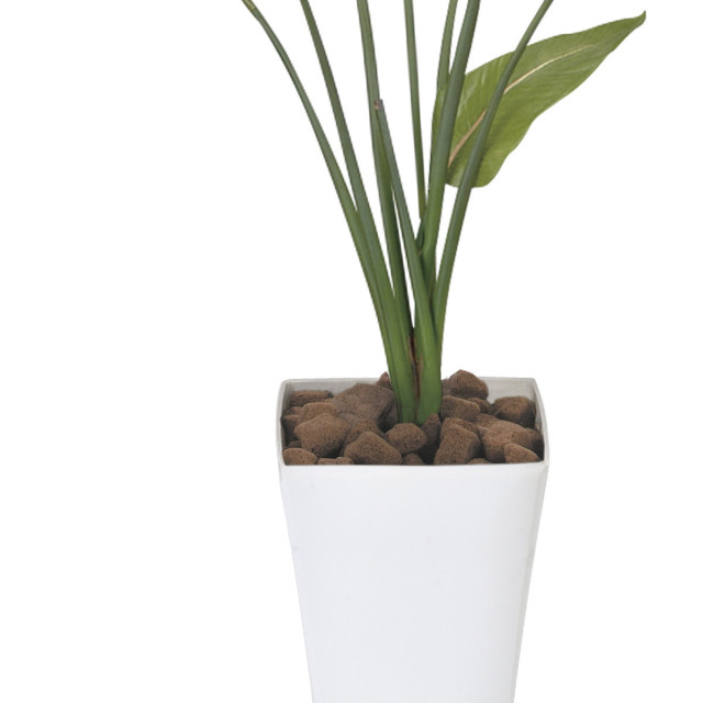 光触媒 光の楽園 ストレチア 1.1m【インテリア フェイクグリーン 人工