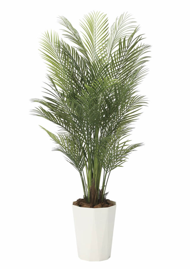 光触媒 光の楽園 アレカパーム1.7（ポリ製）【インテリア フェイクグリーン 人工観葉植物】(2006P500)（※ラッピング不可）