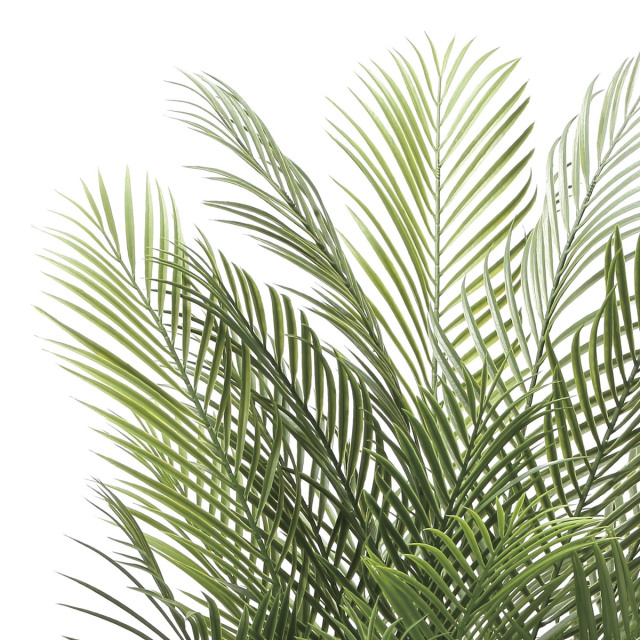 光触媒　人工観葉植物　フェイクグリーン　アーバンアレカパーム1.7m 光触媒 光の楽園 アレカパーム1.7（ポリ製）【インテリア フェイク