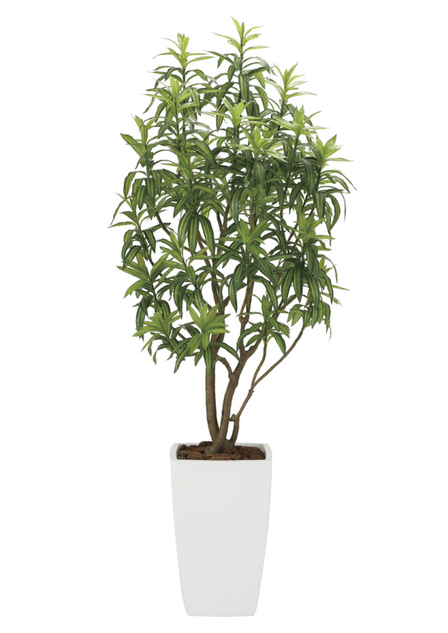 光触媒 人工観葉植物 幸福の木（ドラセナ）【光の楽園】