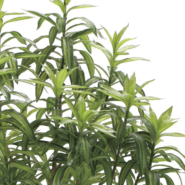 光触媒 光の楽園 フレッシュドラセナW1.8m【インテリア フェイク