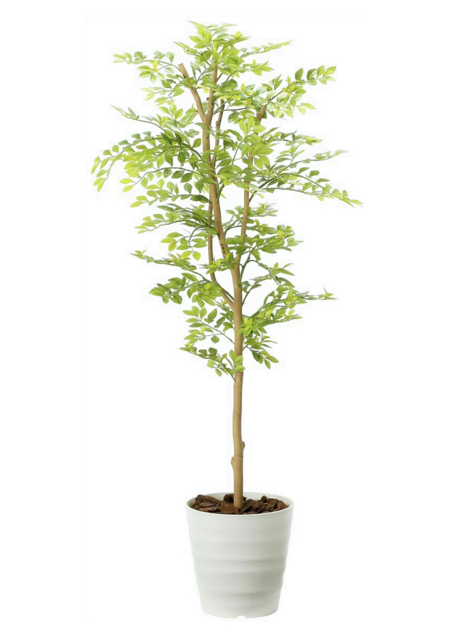 光触媒 光の楽園 ゴールデンリーフ 高さ 1.25m 【インテリア フェイクグリーン 人工観葉植物】 (2013a200)