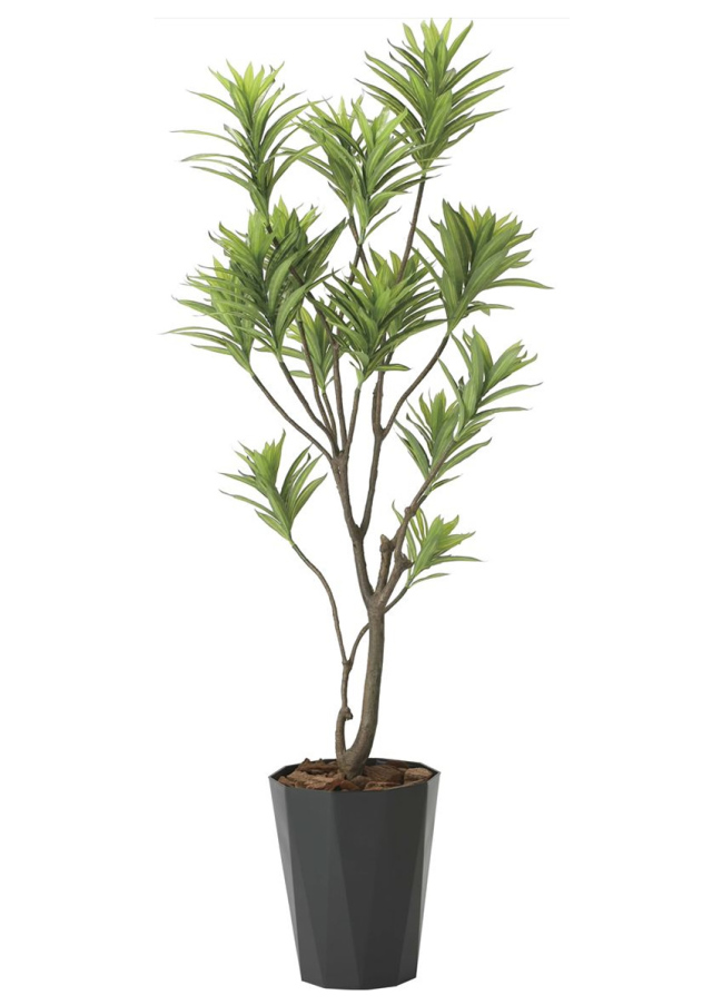 光触媒 光の楽園 フレッシュドラセナ 高さ 1.8m 【インテリア フェイクグリーン 大型 人工観葉植物】 (2016a380)