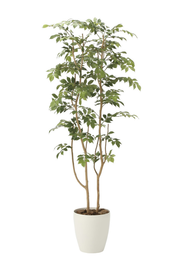 光触媒 光の楽園 マウンテンアッシュ1.6m【インテリア フェイクグリーン 人工観葉植物】(2021P350)（※ラッピング不可）