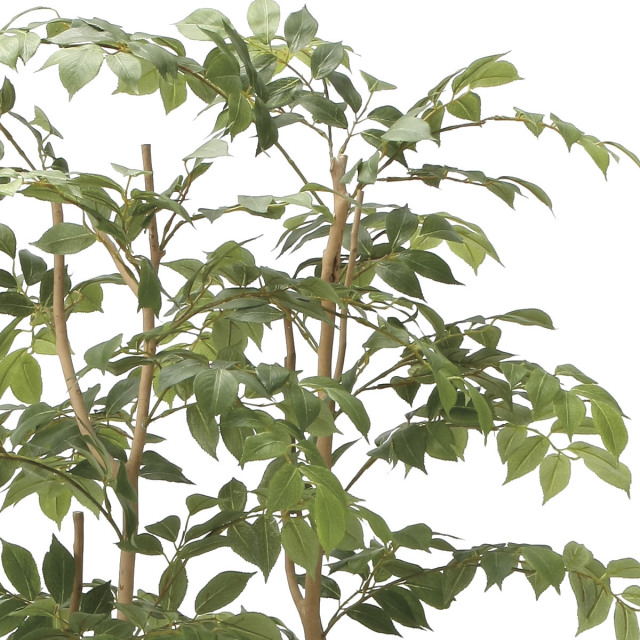 光触媒　人工観葉植物　フェイクグリーン　マウンテンアッシュ1.6m 光触媒 光の楽園 マウンテンアッシュ1.6m【インテリア フェイク