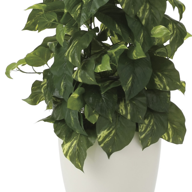 光触媒　人工観葉植物　フェイクグリーン　フレッシュポトス1.2m 光触媒 光の楽園 フレッシュポトス1.2m【インテリア フェイク