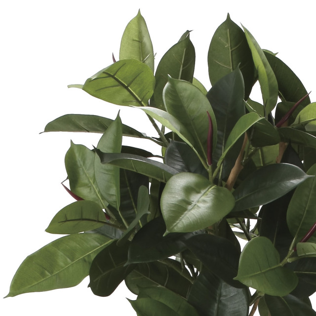 光触媒 光の楽園 ゴムの木1.8m【インテリア フェイクグリーン 人工観葉