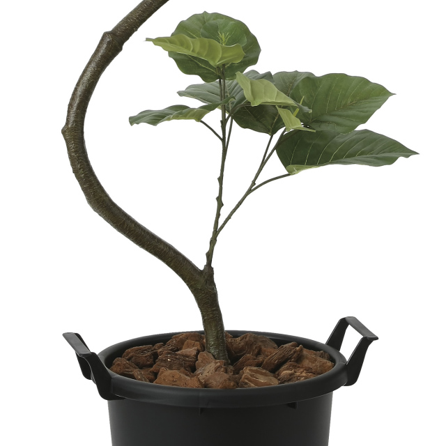 光触媒 光の楽園 インテリアウンベラータ1.65【インテリア