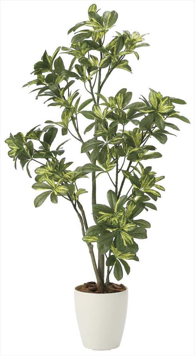 110cm以上 造花と観葉植物の専門店 光の楽園