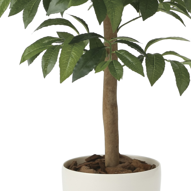 光触媒　人工観葉植物　フェイクグリーン　アカシアディアル150FST ストア・エキスプレス フェイクグリーン 消臭 観葉植物 フェイク