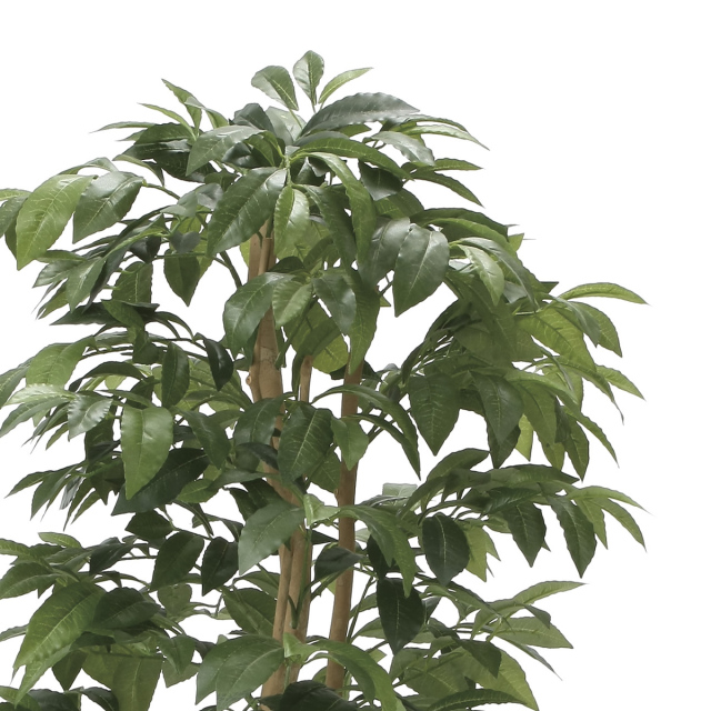 光触媒 光の楽園 アルデシア(万両) 高さ 1.3m 【インテリア