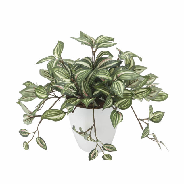 光触媒 光の楽園 トラディスカンティア【アートフラワー 造花】(2042P50)