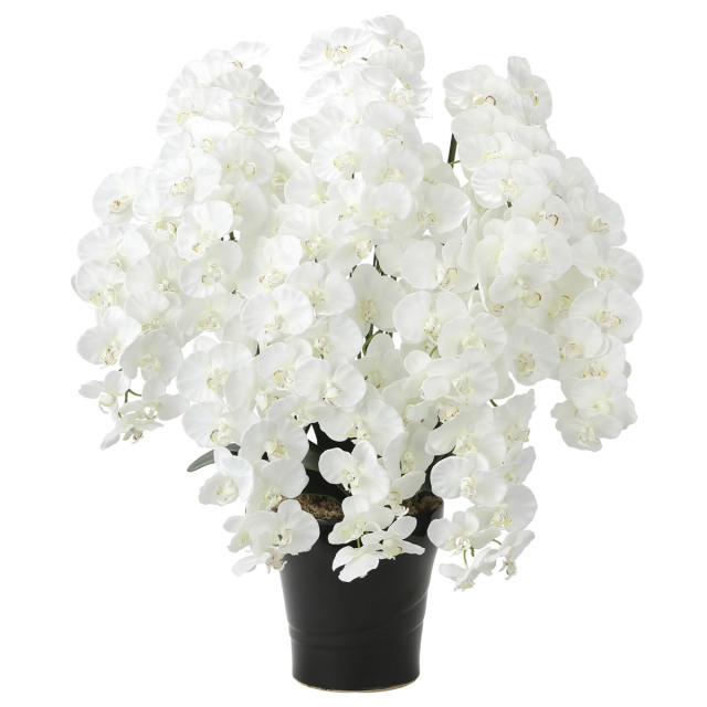 光触媒 光の楽園 プレミアム胡蝶蘭10本立W 【アートフラワー 造花 】　※ラッピング不可 (2046a350)