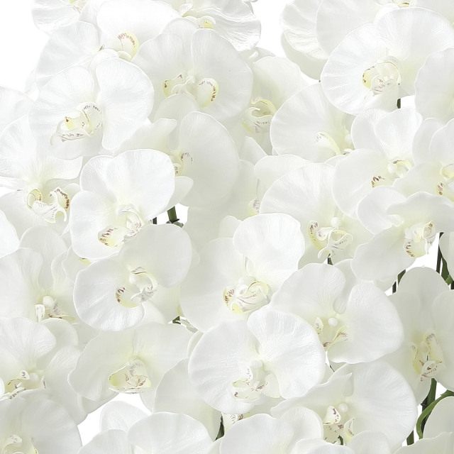 光触媒 光の楽園 プレミアム胡蝶蘭10本立W 【アートフラワー 造花