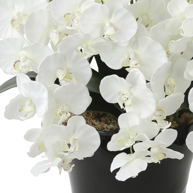 光触媒 光の楽園 プレミアム胡蝶蘭10本立W 【アートフラワー 造花