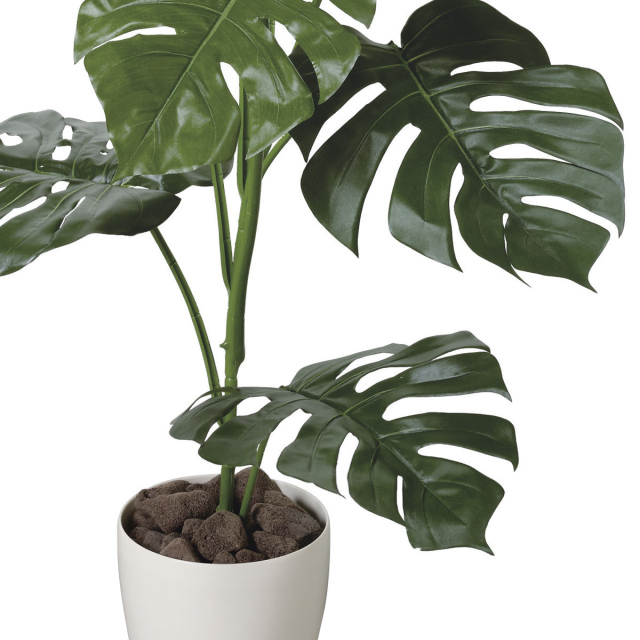 光触媒　人工観葉植物　ウォールグリーン　フェイクグリーン　モンステラ100 0119a00382.jpg