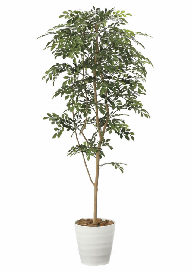 光触媒 光の楽園 トネリコ1.8m【インテリア フェイクグリーン 人工観葉植物】(2094P380)（※ラッピング不可）
