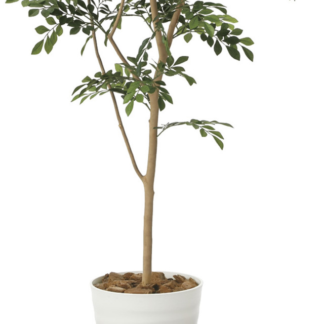 光触媒　人工観葉植物　ウォールグリーン　フェイクグリーン　ゴムの木1.8 光触媒 人工観葉植物 ウォールグリーン フェイクグリーン 壁掛け