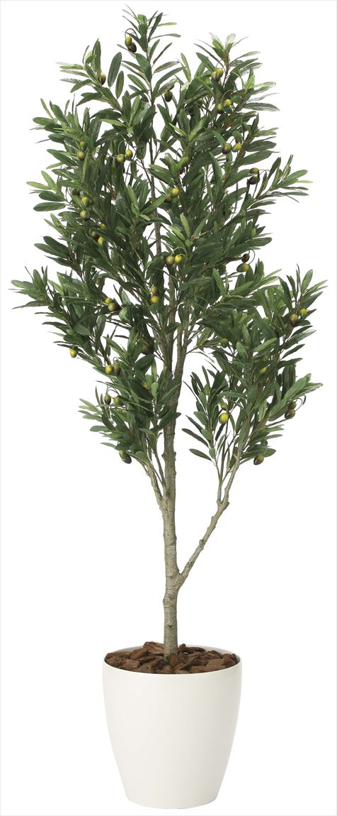 光触媒 光の楽園 オリーブツリー 高さ 1.65m 【インテリア フェイクグリーン 大型 人工観葉植物】 (2096a400)