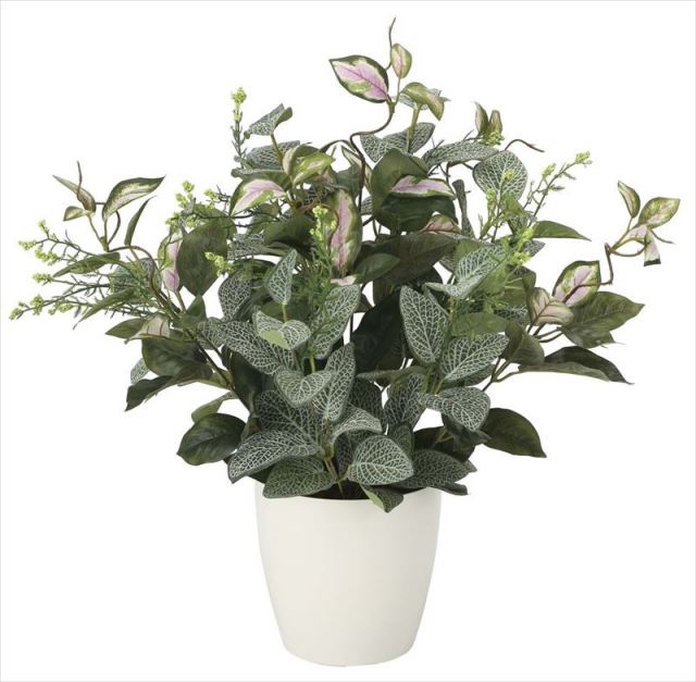 光触媒 光の楽園 ミックスフィットニア インテリアグリーン 人工観葉植物 2101a60 造花と観葉植物の専門店 光の楽園