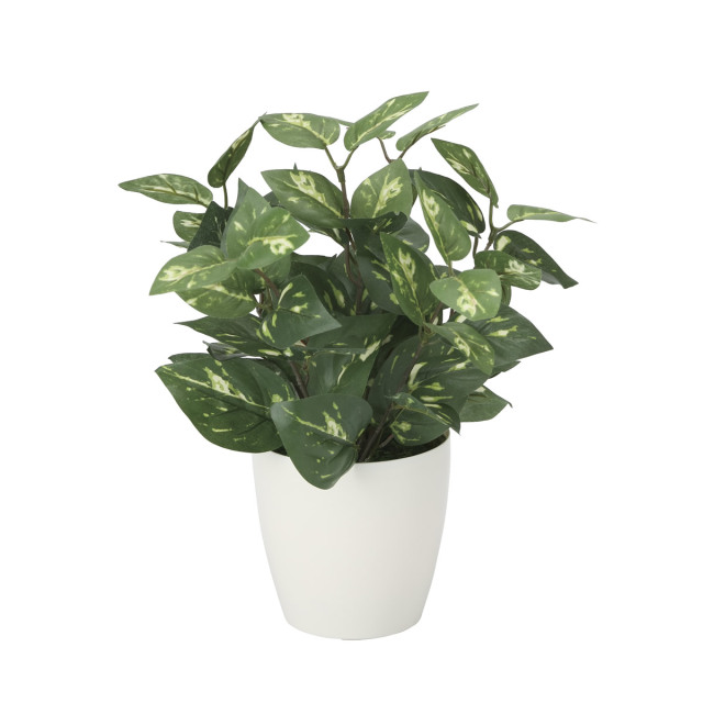 光触媒 光の楽園 ポトスM【インテリア 人工観葉植物】(2103K35)