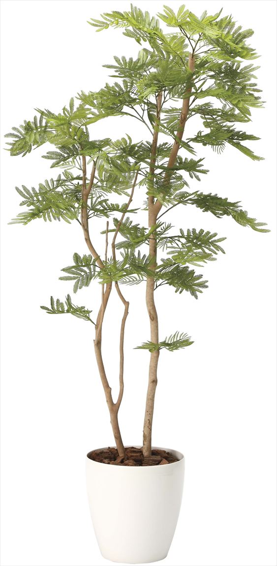 光触媒 光の楽園 ねむの木 高さ 1.8m 【インテリア フェイクグリーン 大型 人工観葉植物】 (2106a460)