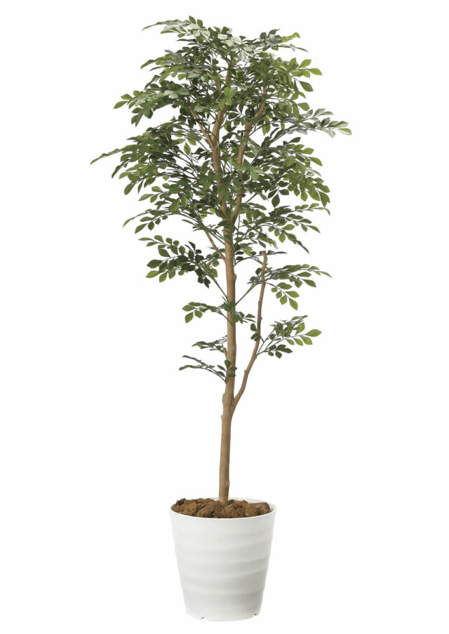 光触媒　人工観葉植物　ウォールグリーン　フェイクグリーン　ライトトネリコ1.0 光触媒 光の楽園 トネリコ1.6m【インテリア フェイクグリーン 人工観葉