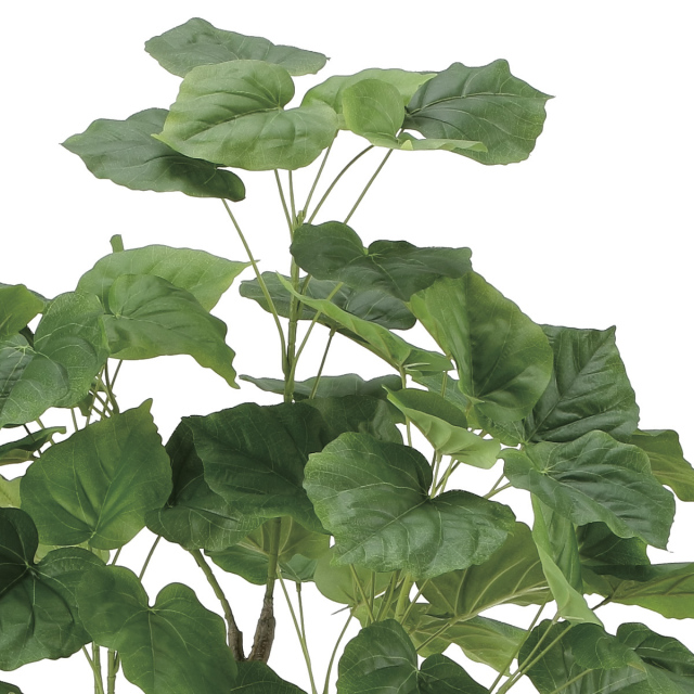 光触媒　人工観葉植物　フェイクグリーン　フィカスウンベラータ1.35m リーベン フェイクグリーン フィカス ウンベラータ 160cm 無