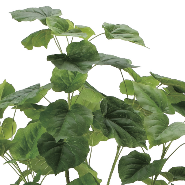 光触媒　人工観葉植物　ウォールグリーン　フェイクグリーン　ウンベラータ1.2 光触媒 人工観葉植物 ウォールグリーン フェイクグリーン
