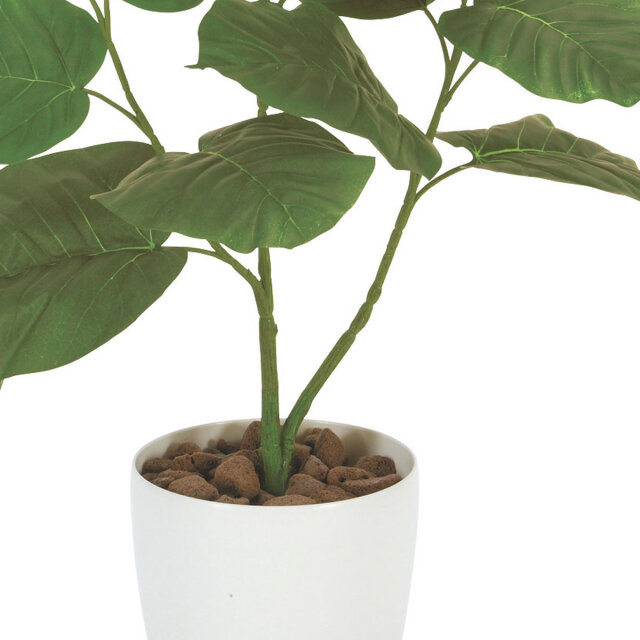 光触媒 光の楽園ウンベラータ 高さ 80cm【インテリア フェイク