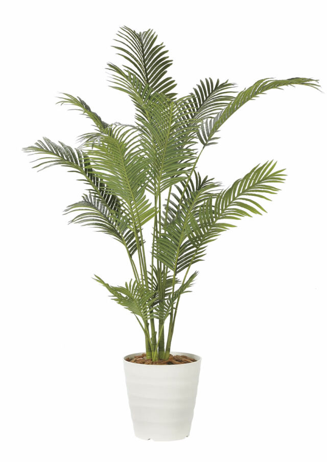 造花と観葉植物の専門店 光の楽園