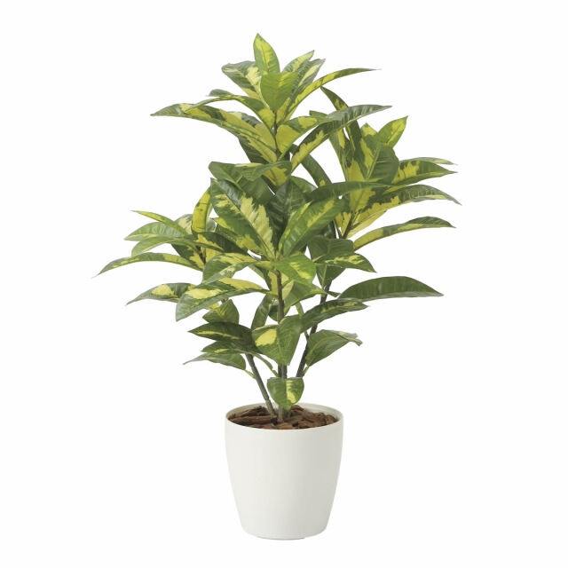 光触媒 光の楽園 クロトン【インテリアグリーン 人工観葉植物】(2213A100)