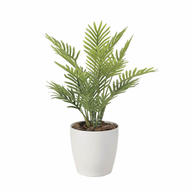 光触媒 光の楽園 フレッシュパーム【インテリアグリーン 人工観葉植物】(2217A50)