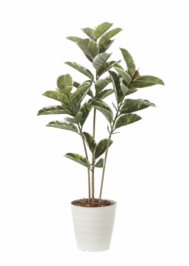 光触媒 光の楽園 アルテシマ1.2m【インテリア フェイクグリーン 人工観葉植物】(2221P200)（※ラッピング不可）