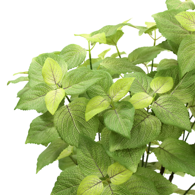 光触媒 光の楽園 ペリーラ 1.0m【インテリア フェイクグリーン