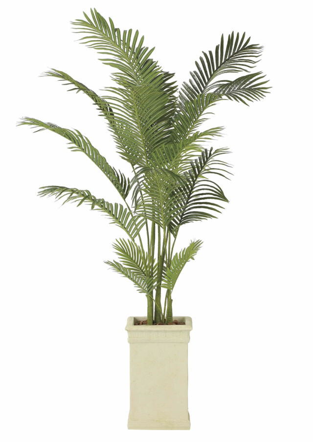 特集 造花と観葉植物の専門店 光の楽園
