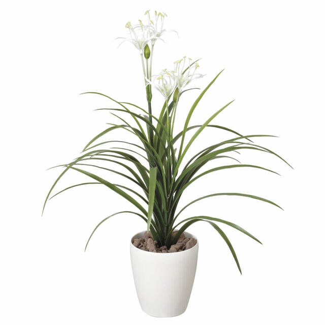 光触媒 光の楽園 ユッカ花付（ポリ製）【インテリア フェイクグリーン 人工観葉植物】(222SH50)