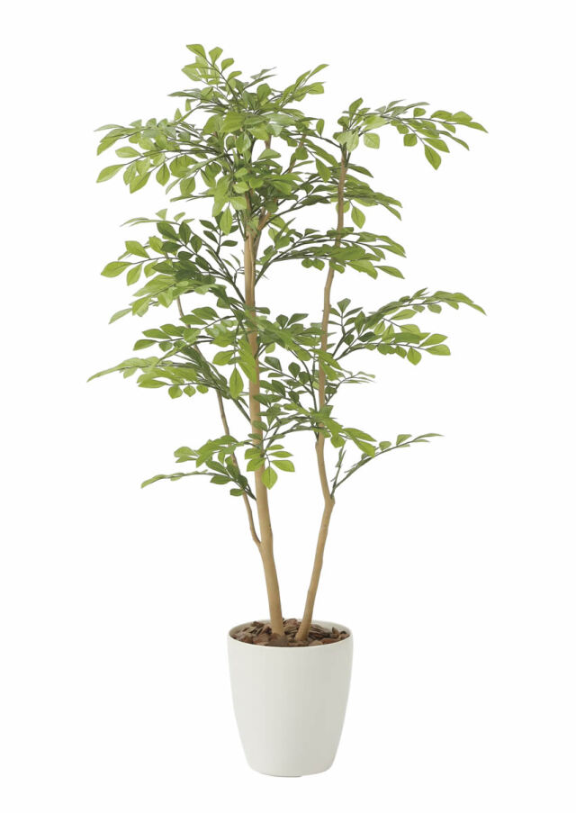 光触媒 光の楽園 ライトトネリコ 1.0m【インテリア フェイクグリーン 人工観葉植物】(2232A180)