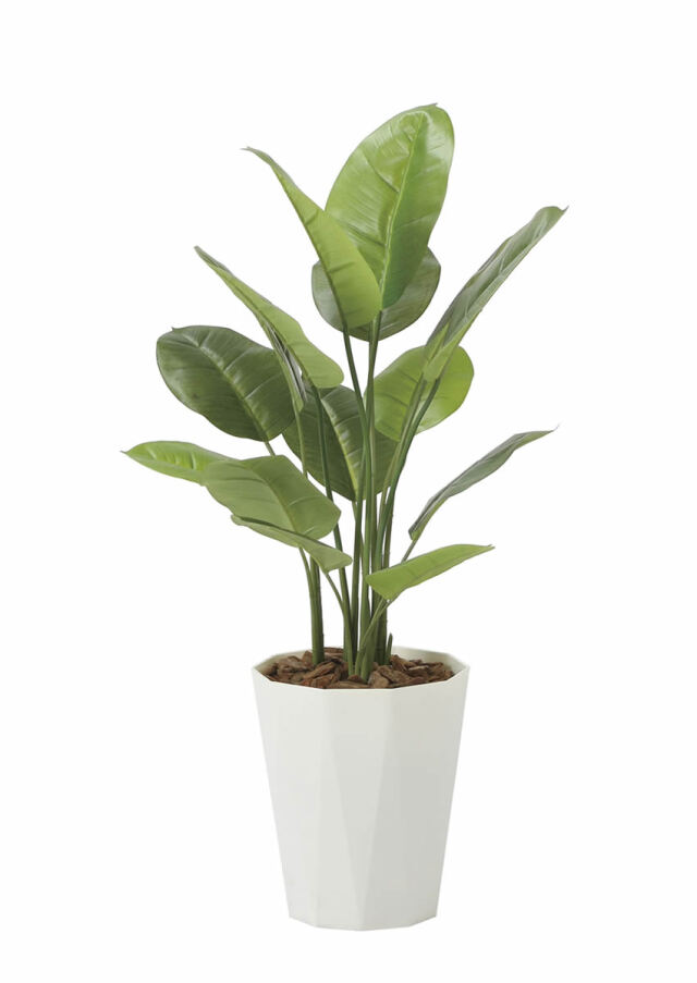光触媒 光の楽園 スキンダプサス 1.0m【インテリア フェイクグリーン 人工観葉植物】(2240A160)