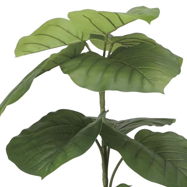 光触媒 光の楽園 フレッシュウンベラータ1.0m【インテリア フェイク